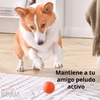 SMARTBALL™ - Pelota Inteligente